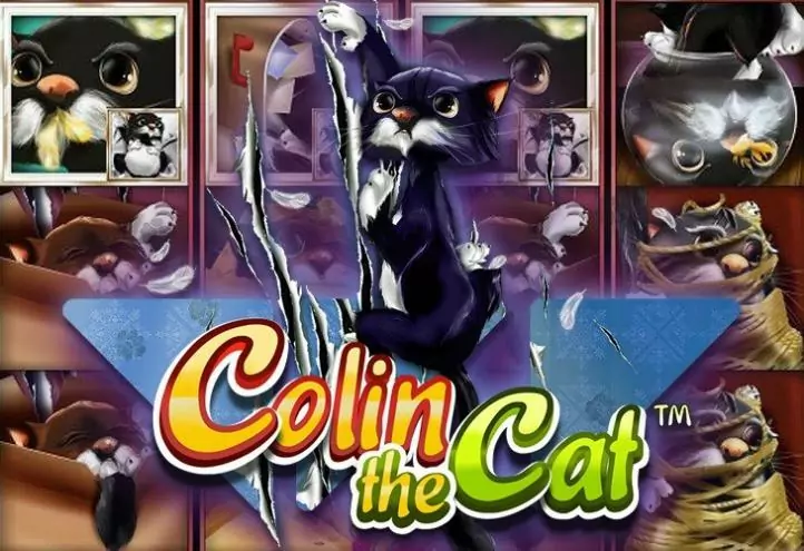 Colin the Cat slots - ігровий автомат про котів