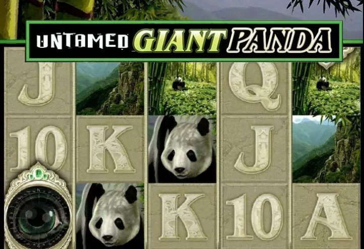 Ігровий автомат Untamed Giant Panda онлайн від Microgaming