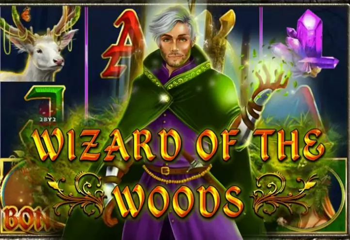 Ігровий автомат Wizard of the Woods онлайн від 2 By 2 Gaming